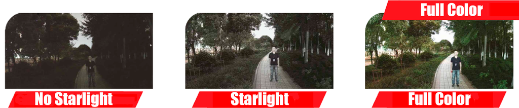 Dahua HDW1239TL-A-LED - Cámara Domo HDCVI Full Color 1080p, Lente de 2.8 mm, Microfono Integrado, Led 20 Mts, IP67, Starlight
